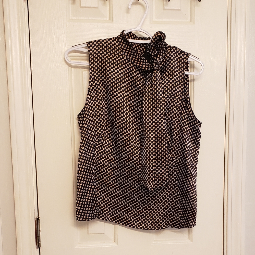 Talbots petites pure silk blouse